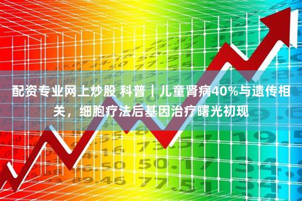 配资专业网上炒股 科普｜儿童肾病40%与遗传相关，细胞疗法后基因治疗曙光初现