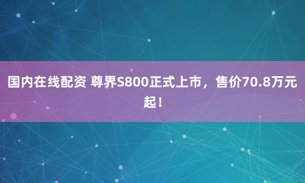 国内在线配资 尊界S800正式上市，售价70.8万元起！