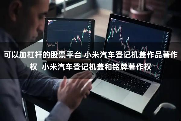 可以加杠杆的股票平台 小米汽车登记机盖作品著作权  小米汽车登记机盖和铭牌著作权
