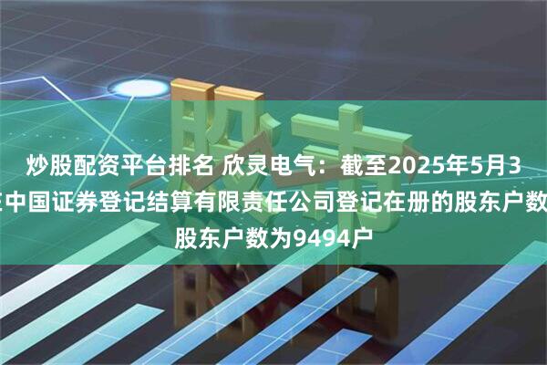 炒股配资平台排名 欣灵电气：截至2025年5月30日公司在中国证券登记结算有限责任公司登记在册的股东户数为9494户