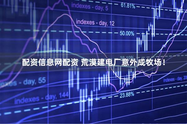 配资信息网配资 荒漠建电厂意外成牧场！