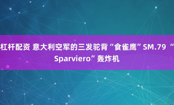 杠杆配资 意大利空军的三发驼背“食雀鹰”SM.79 “Sparviero”轰炸机