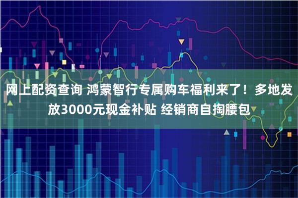 网上配资查询 鸿蒙智行专属购车福利来了！多地发放3000元现金补贴 经销商自掏腰包