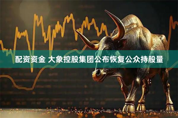 配资资金 大象控股集团公布恢复公众持股量